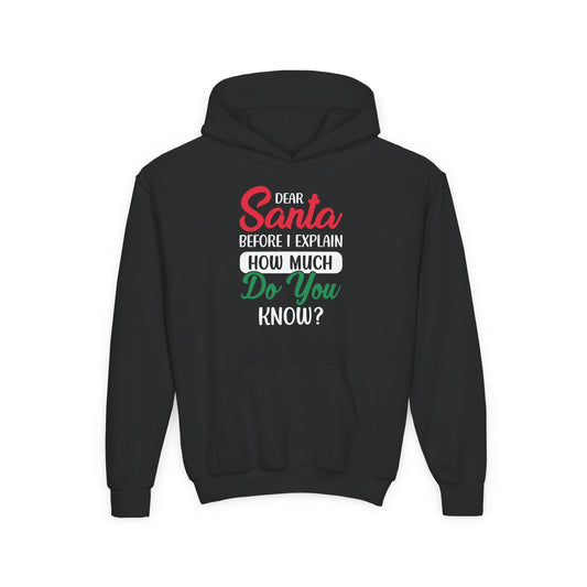 Christmas Youth Hoodie - "Santa Do You" Festive Kids Pullover